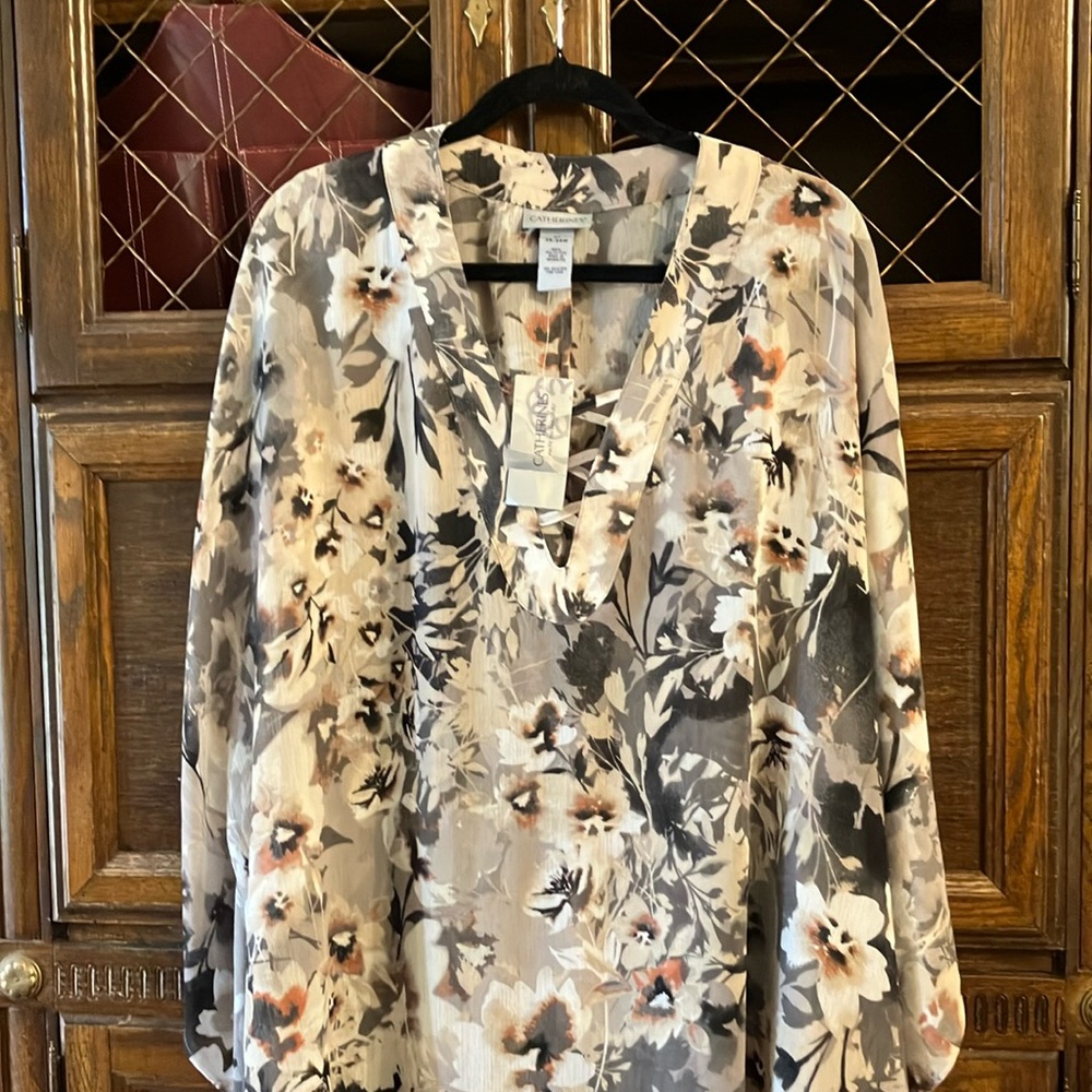 Catherines Beautiful sheer dress top